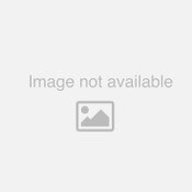 University Standard - 13-inch MacBook Air w/AppleCare